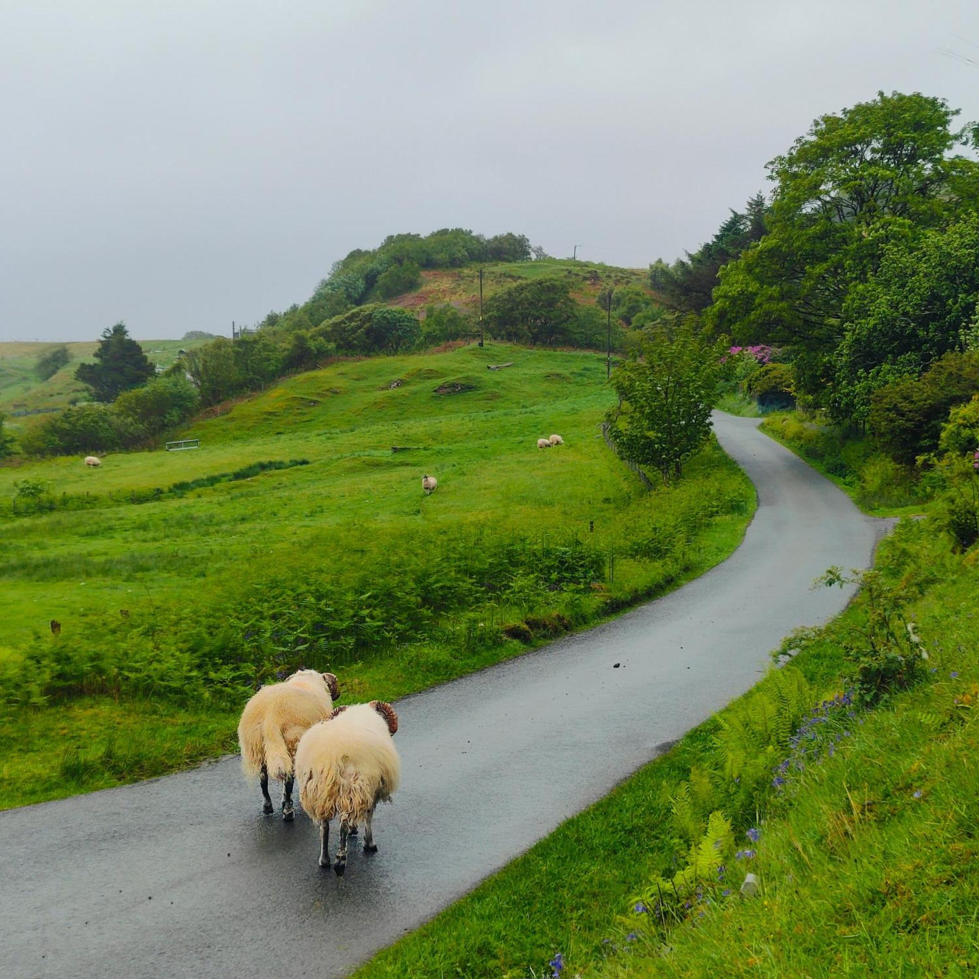 Kintyre Caravan Portree Eksteriør billede